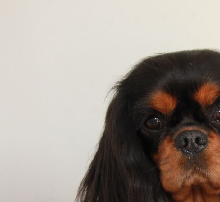 Ashanti 2 år